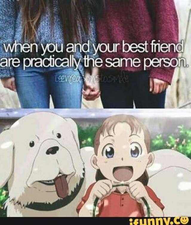 meme about Nina Tucker from FMA becoming one with her dog