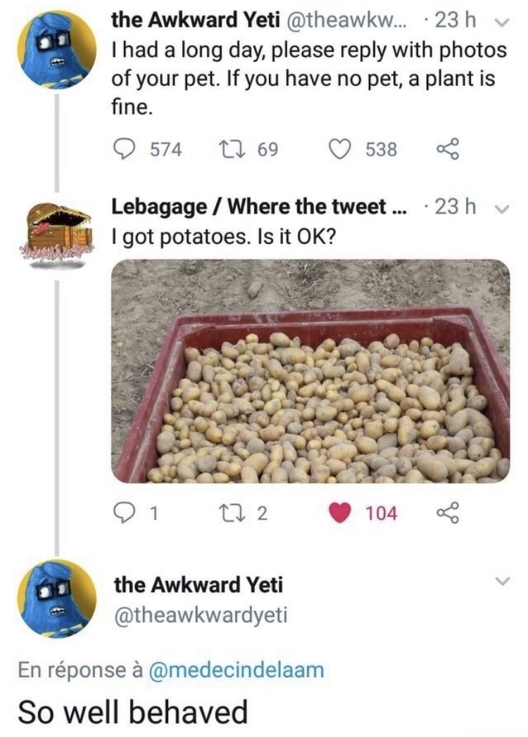 meme about well behaved potatoes