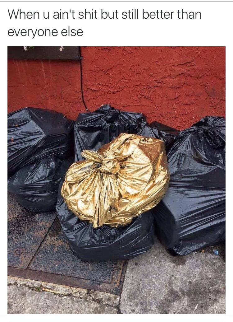 meme about being better than others with pic of a gold trash bag
