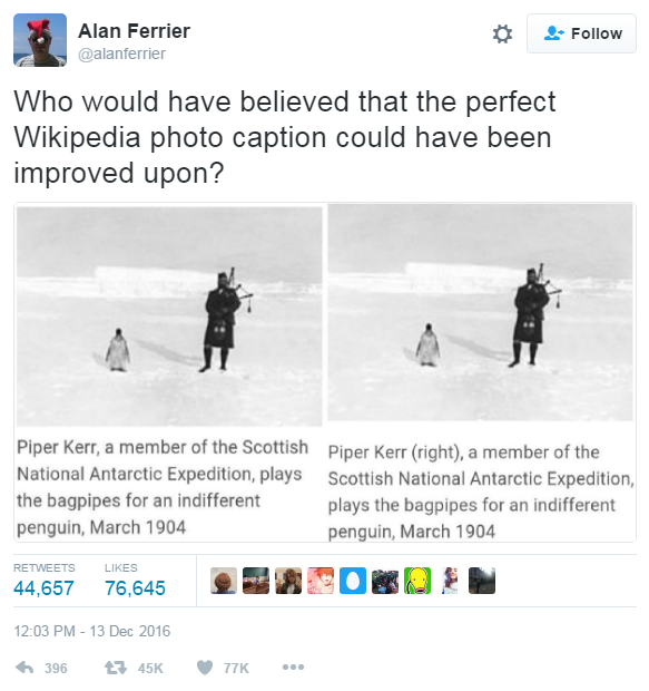 memes -web page - Alan Ferrier Who would have believed that the perfect Wikipedia photo caption could have been improved upon? Piper Kerr, a member of the Scottish National Antarctic Expedition, plays the bagpipes for an indifferent penguin, Piper Kerr ri