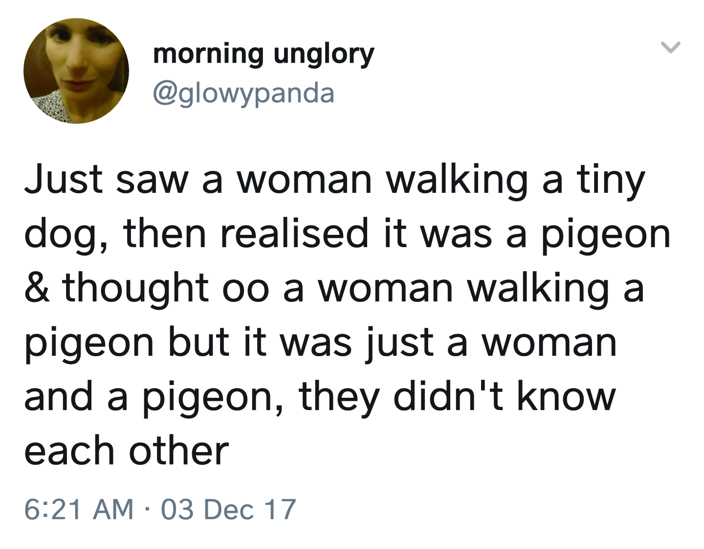 memes - you get another chance in the simulation - morning unglory Just saw a woman walking a tiny dog, then realised it was a pigeon & thought oo a woman walking a pigeon but it was just a woman and a pigeon, they didn't know each other 03 Dec 17