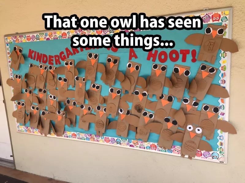 memes - owl has seen some things - That one owl has seen 2002 some things... Wa Kinders ., A Hoot! ca .