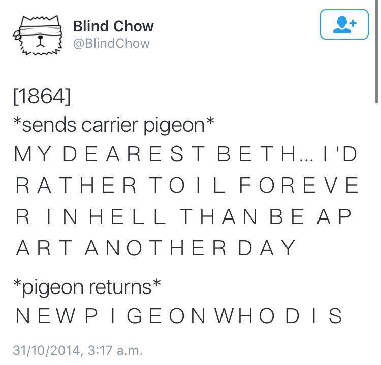 memes - Pigeons and doves - Blind Chow Chow 1864 sends carrier pigeon My Dearest Beth... I'D Rather Toil Foreve Rinhell Than Be Ap Art Another Day pigeon returns New Pigeon Whodis 31102014, a.m.