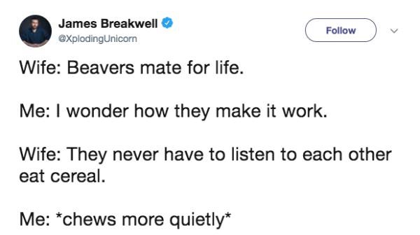 memes - does the frog emoji mean - James Breakwell Unicorn Wife Beavers mate for life. Me I wonder how they make it work. Wife They never have to listen to each other eat cereal. Me chews more quietly