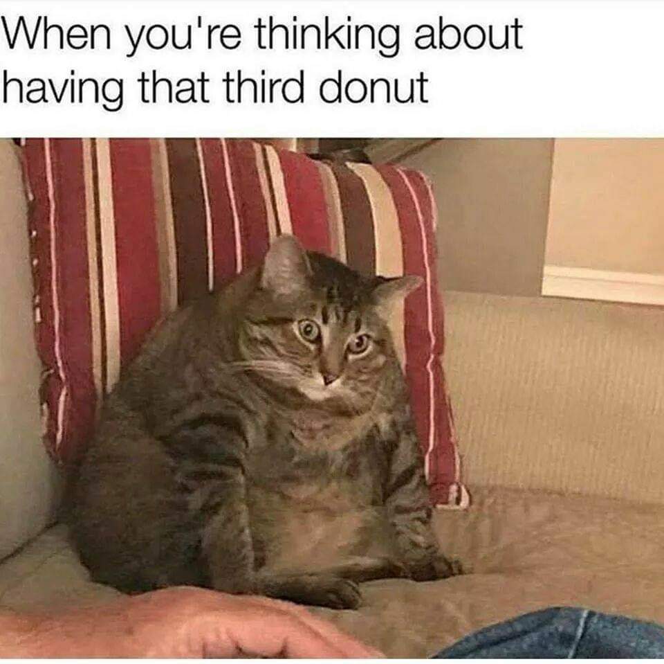 memes - you re thinking about having that third donut - When you're thinking about having that third donut