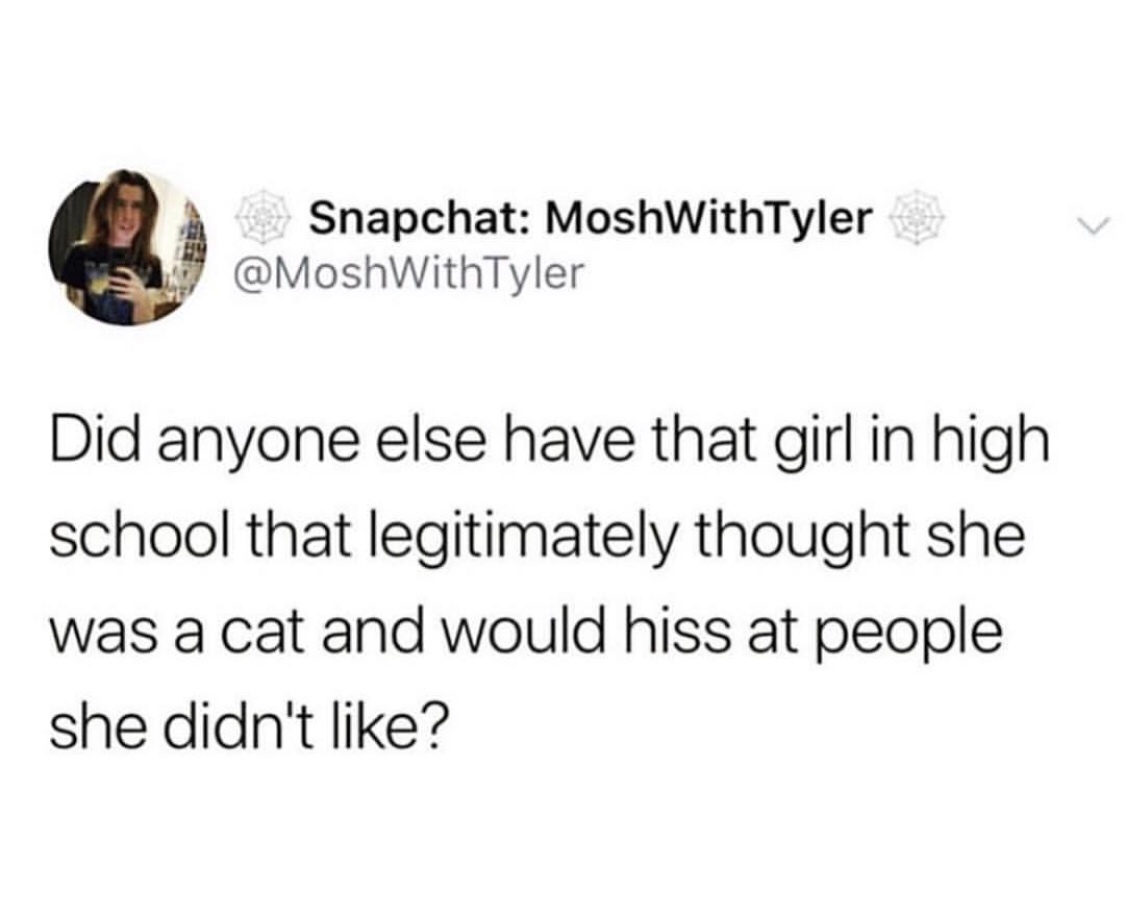 memes - S A Snapchat MoshWithTyler v Did anyone else have that girl in high school that legitimately thought she was a cat and would hiss at people she didn't ?