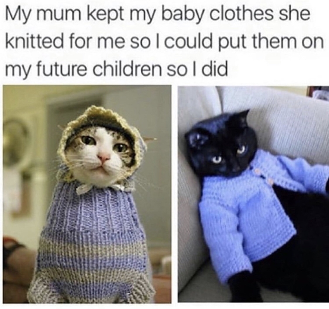 memes - cat wearing a sweater - My mum kept my baby clothes she knitted for me solcould put them on my future children so I did