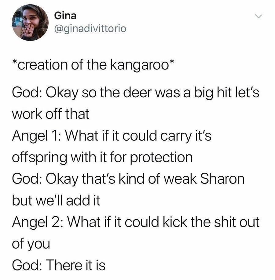 memes - creation of the kangaroo - Gina creation of the kangaroo God Okay so the deer was a big hit let's work off that Angel 1 What if it could carry it's offspring with it for protection God Okay that's kind of weak Sharon but we'll add it Angel 2 What 