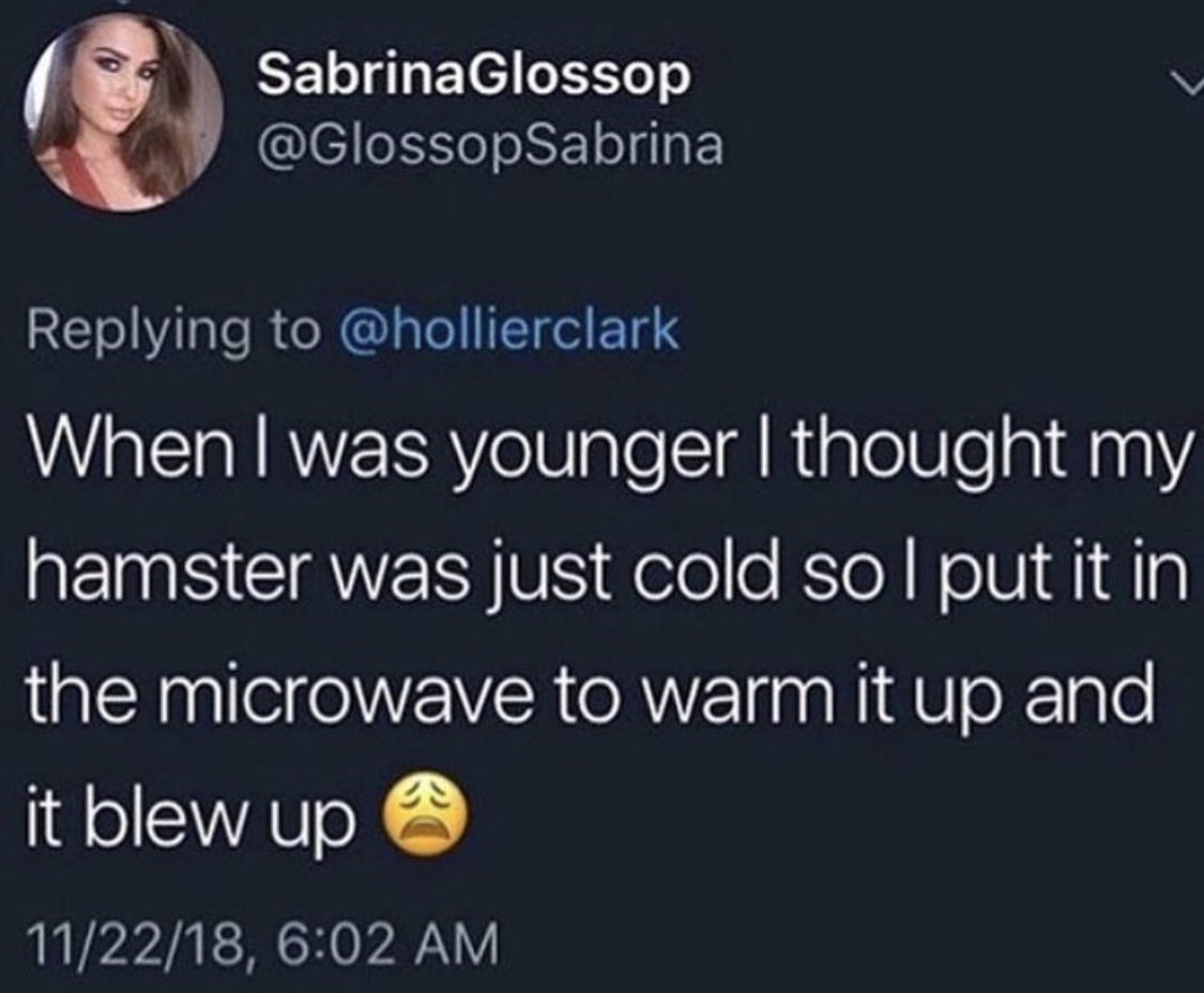 memes - Sabrina Glossop When I was younger I thought my hamster was just cold sol put it in the microwave to warm it up and it blew up @ 112218,