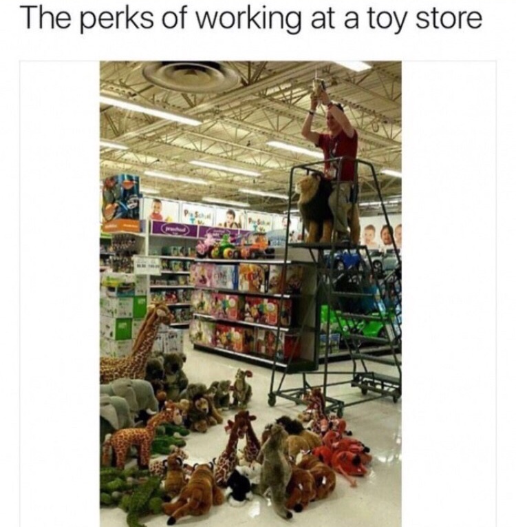 memes- lion king toys r us - The perks of working at a toy store