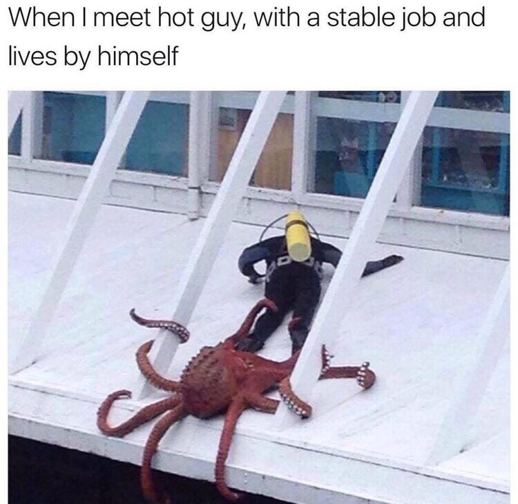 memes- When I meet hot guy, with a stable job and lives by himself
