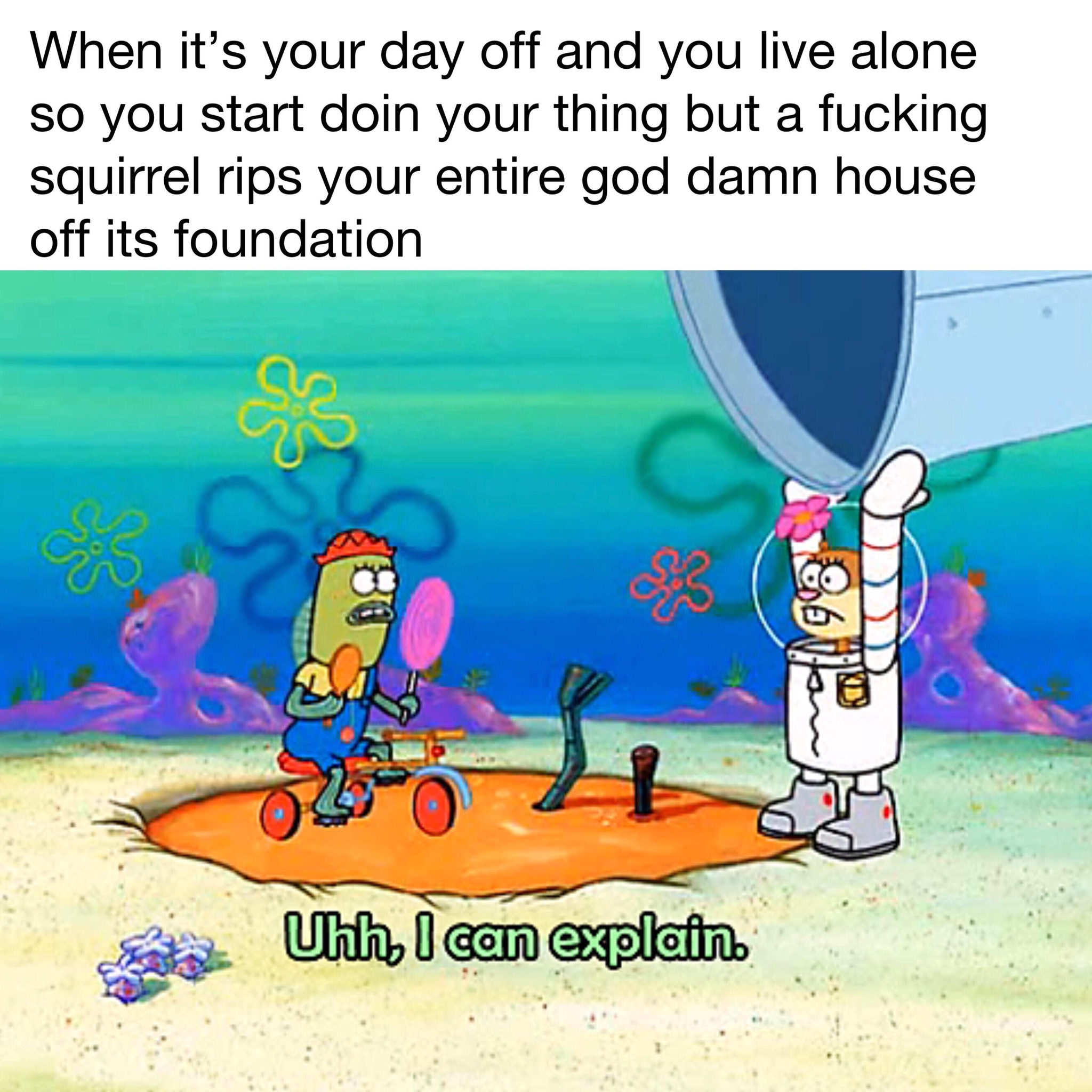 have several questions meme - When it's your day off and you live alone so you start doin your thing but a fucking squirrel rips your entire god damn house off its foundation Uhh I can explain