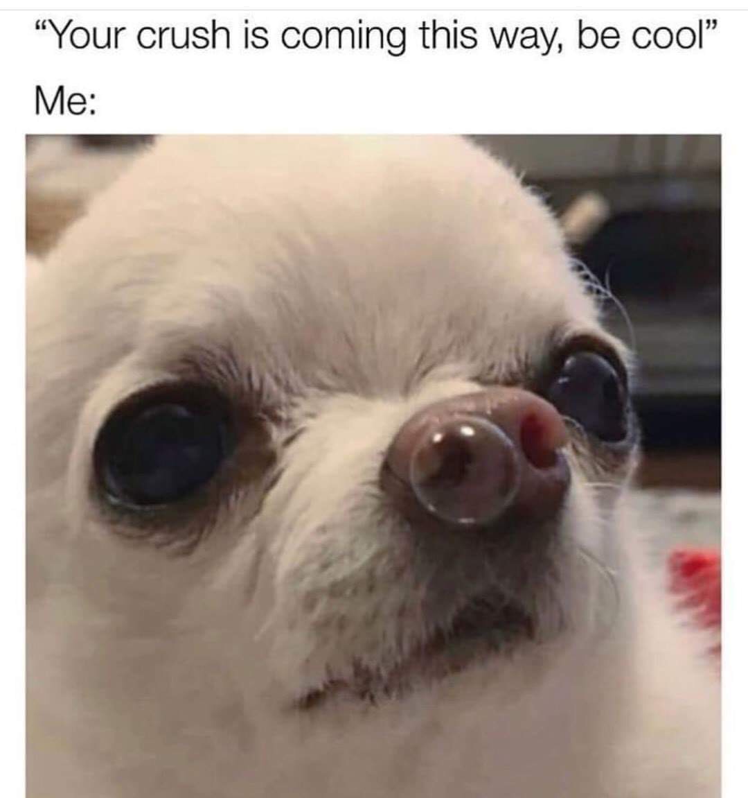 your crush is coming this way be cool - "Your crush is coming this way, be cool Me