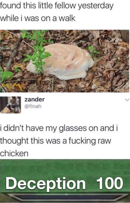 laugh funny tumblr post - found this little fellow yesterday while i was on a walk zander i didn't have my glasses on and i thought this was a fucking raw chicken Deception 100