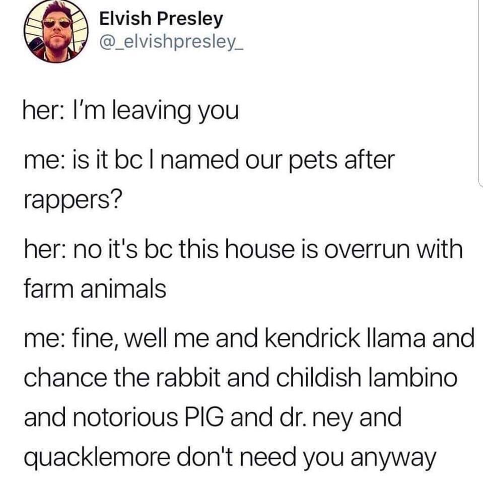 chance the rabbit meme - Elvish Presley her I'm leaving you me is it bc I named our pets after rappers? her no it's bc this house is overrun with farm animals me fine, well me and kendrick llama and chance the rabbit and childish lambino and notorious Pig