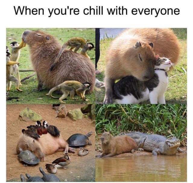 you re chill with everyone - When you're chill with everyone