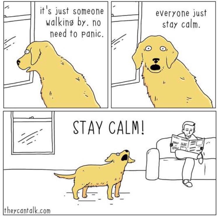 memes - they can talk stay calm - it's just someone walking by.no need to panic. everyone just stay calm. 0 0 . E Stay Cal Stay Calm! theycantalk.com