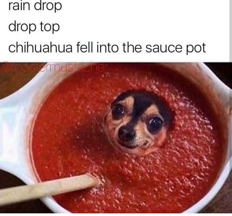 memes - dog spaghetti meme - rain drop drop top chihuahua fell into the sauce pot ,