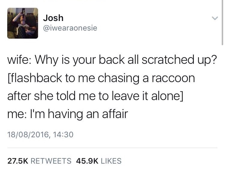 memes - Josh Josh wife Why is your back all scratched up? flashback to me chasing a raccoon after she told me to leave it alone me I'm having an affair 18082016,