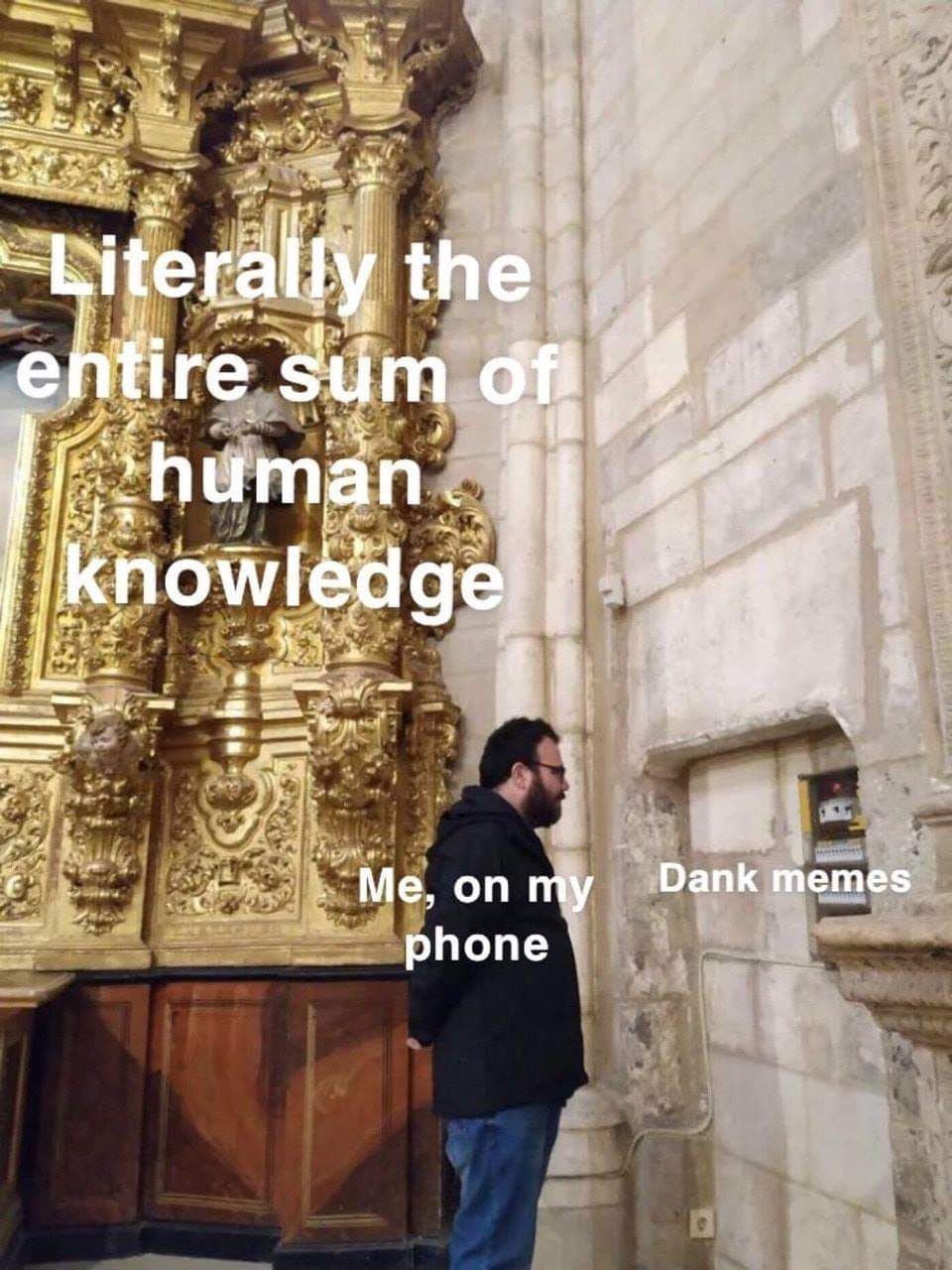 Literally the entire sum of human I knowledge Dank memes Me, on my phone