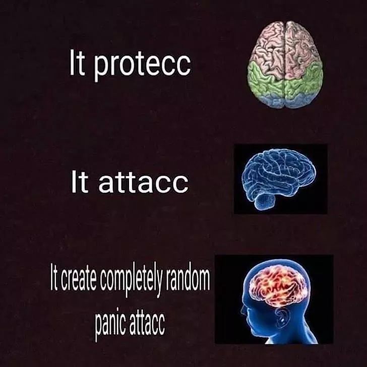protecc it attacc - It protecc It attacc It create completely random panic attacc