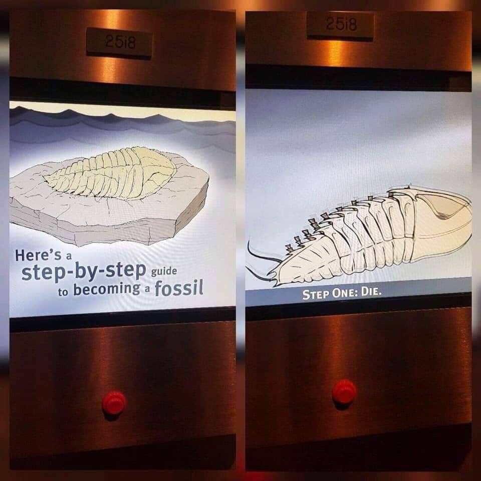 become a fossil meme - 2518 2518 Here's a stepbystep guide to becoming a fossil Wa Step One Die.