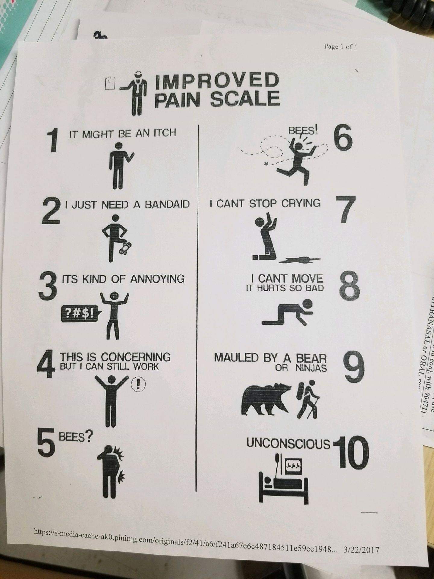 improved pain scale bees - Page 1 of 1 Oy Improved Pain Scale Bees! It Might Be An Itch 1 It Might Bei I Just Need A Bandaid I Cant Stop Crying Its Kind Of Annoying I Cant Move It Hurts So Bad ?#$! This Is Concerning But I Can Still Work Mauled By A Bear 