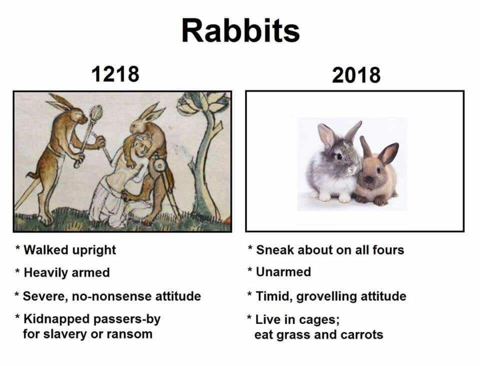 memes - rabbits then and now - Rabbits 1218 2018 Walked upright Heavily armed Severe, nononsense attitude Kidnapped passersby for slavery or ransom Sneak about on all fours Unarmed Timid, grovelling attitude Live in cages; eat grass and carrots