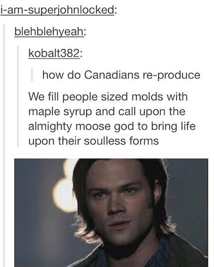 memes - supernatural gif for everything - iamsuperjohnlocked blehblehyeah kobalt382 how do Canadians reproduce We fill people sized molds with maple syrup and call upon the almighty moose god to bring life upon their soulless forms