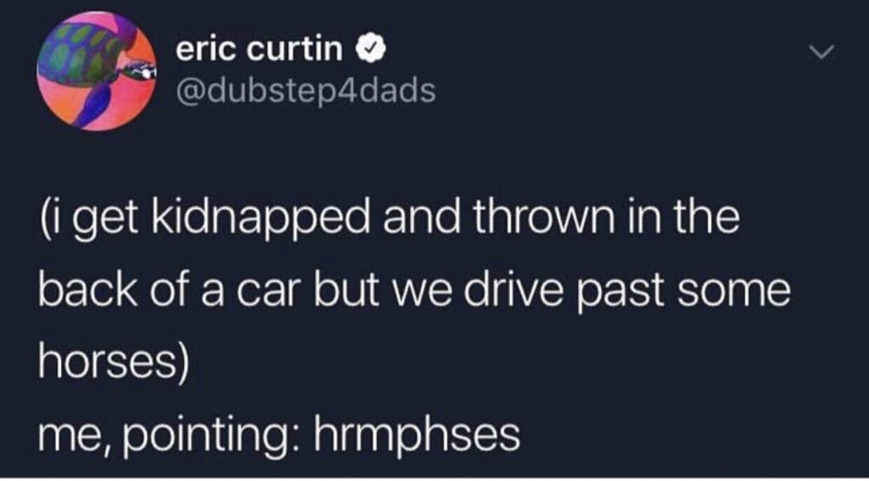 memes - presentation - eric curtin i get kidnapped and thrown in the back of a car but we drive past some horses me, pointing hrmphses