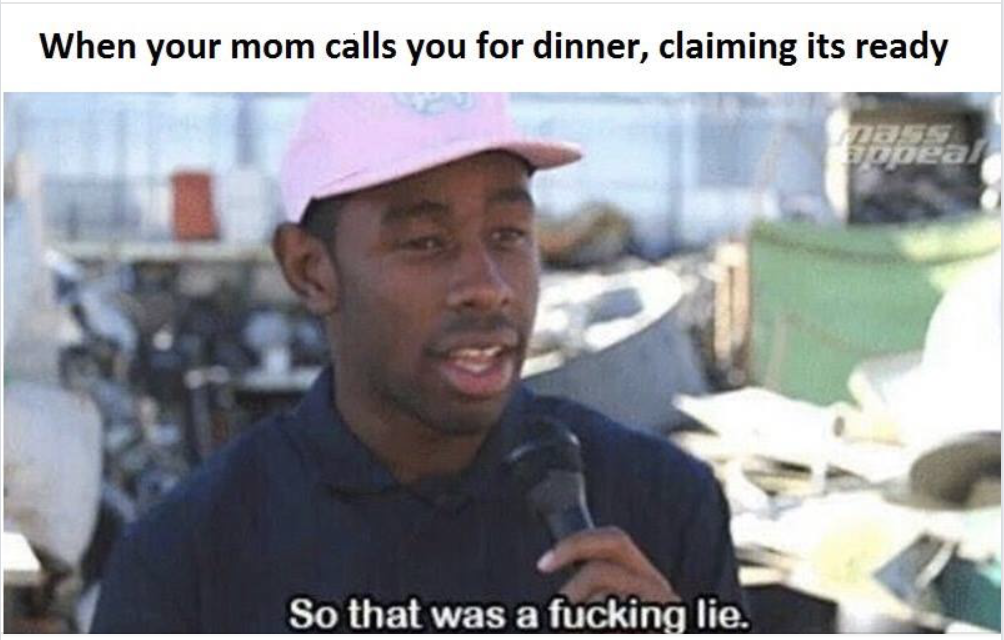 memes - so that was a fucking lie - When your mom calls you for dinner, claiming its ready So that was a fucking lie.
