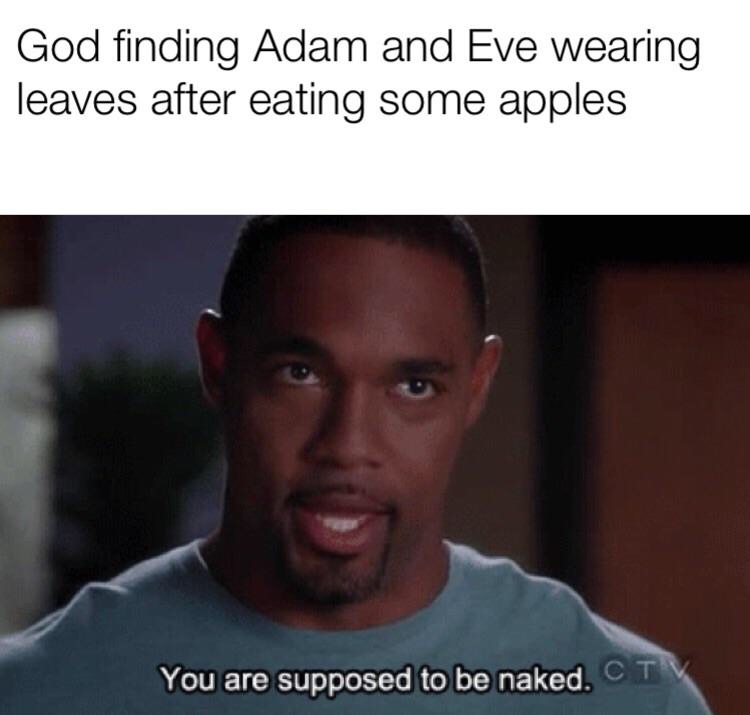 memes - photo caption - God finding Adam and Eve wearing leaves after eating some apples You are supposed to be naked. Ct