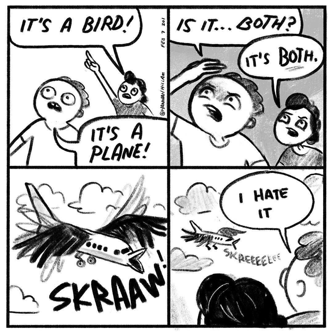memes - bird plane both - It'S A Bird! Feb 7 201 Is It... Both? It'S Both Hillam It'S A Plane! Wrope Jci Have I Hate B Skraat