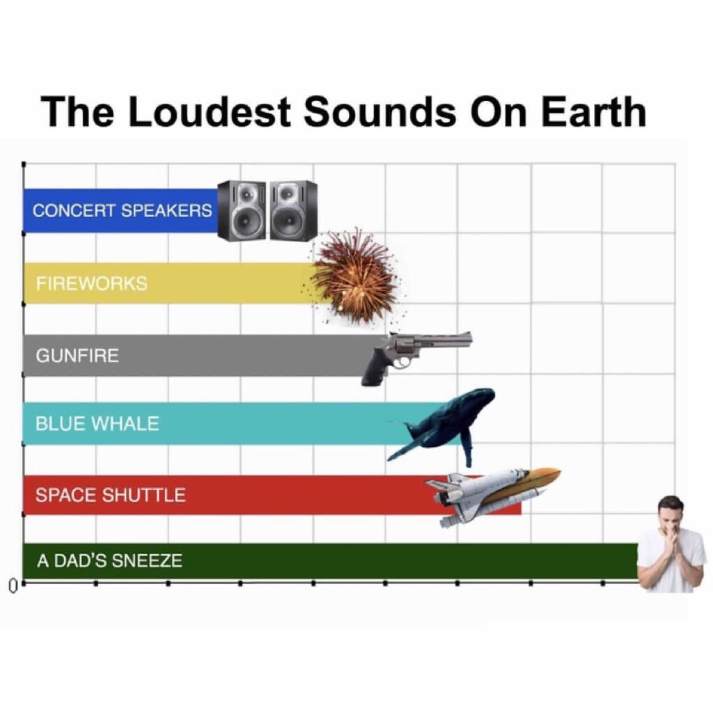 memes - loudest sounds meme - The Loudest Sounds On Earth Concert Speakers Fireworks Gunfire Blue Whale Space Shuttle A Dad'S Sneeze 0