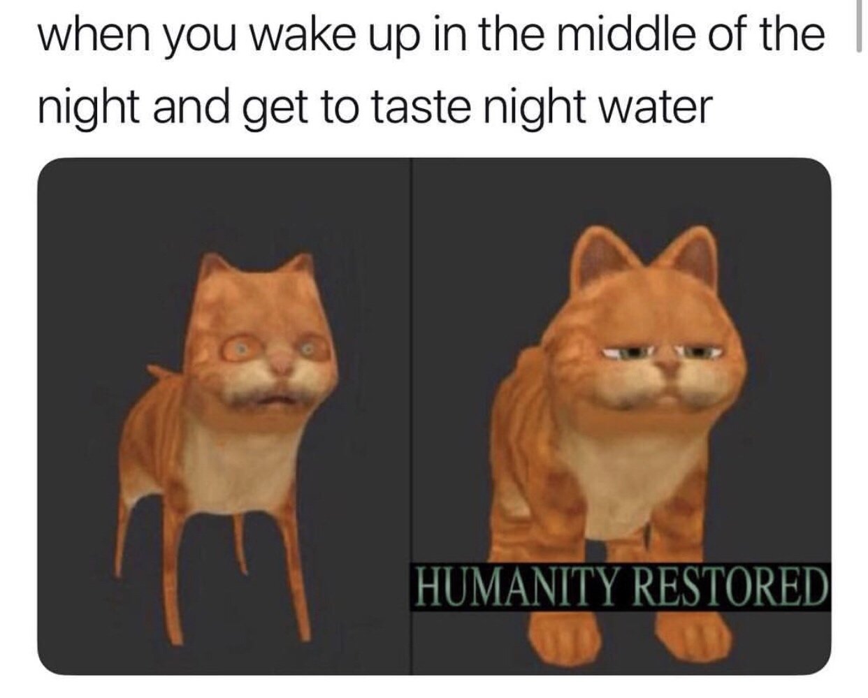 memes - get to taste night water - when you wake up in the middle of the night and get to taste night water Humanity Restored