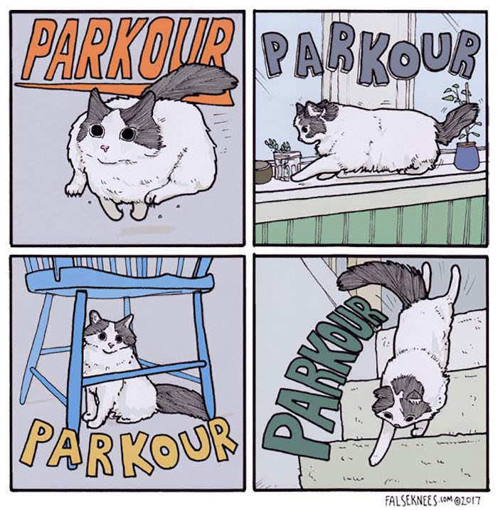 memes - parkour cat comic - Parkour Parkour Uuuu T Ulli |Parkour Falseknees.Com 2017