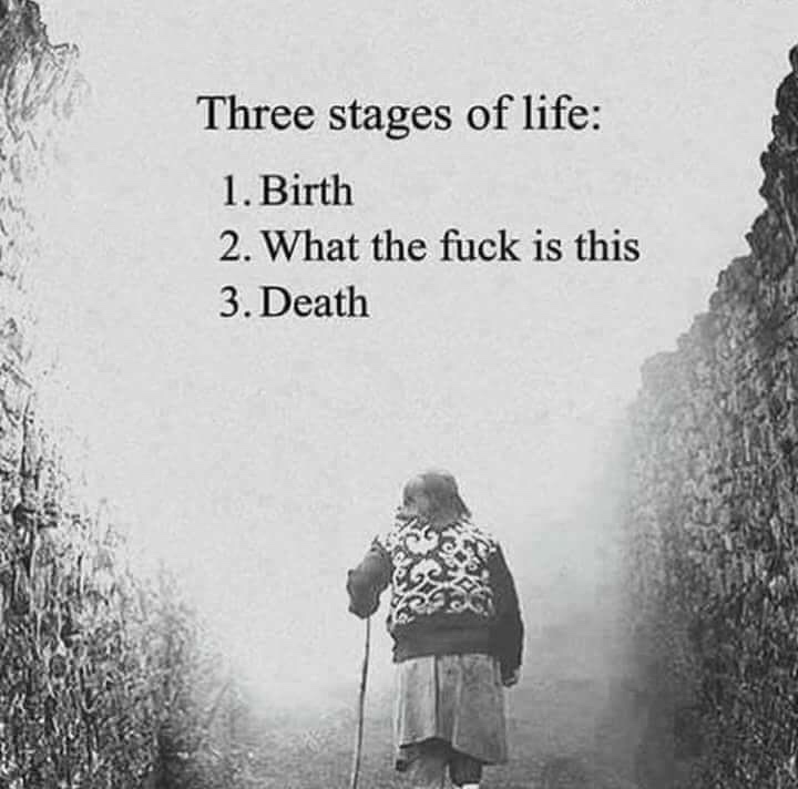 memes - three stages of life - Three stages of life 1. Birth 2. What the fuck is this 3. Death