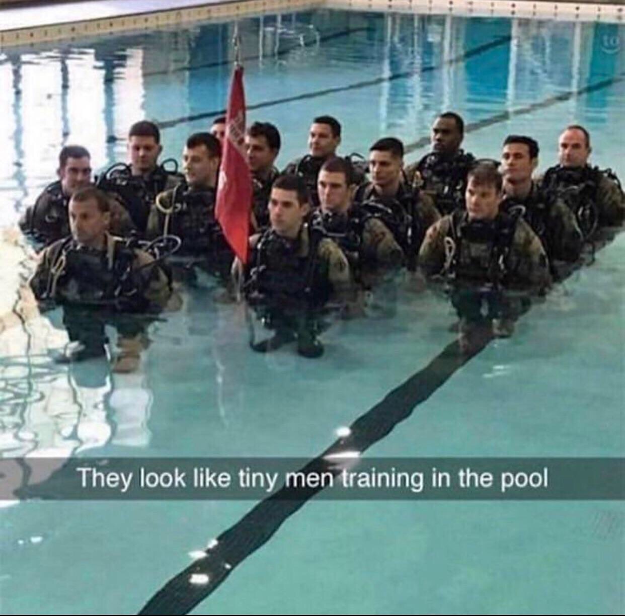 dank memes tiny men - They look tiny men training in the pool