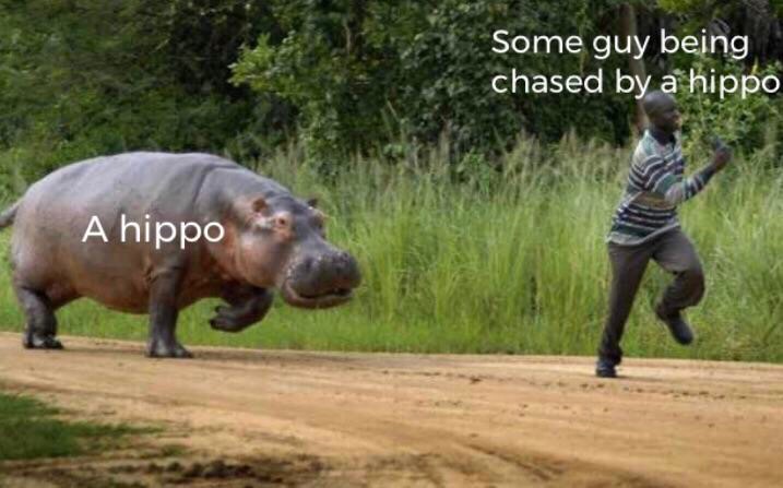 dank memes Some guy being chased by a hippo A hippo