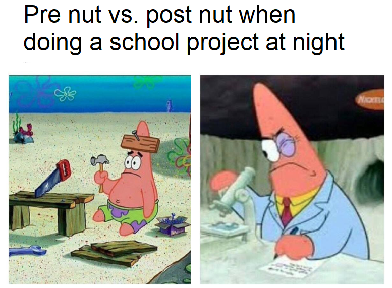 memes - pre nut vs post nut - Pre nut vs. post nut when doing a school project at night