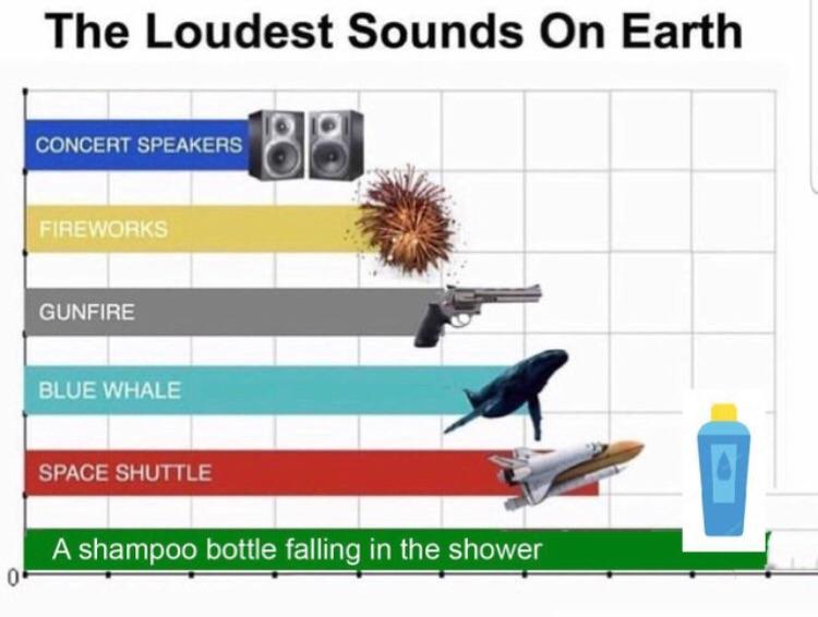 memes - loudest sounds on earth meme - The Loudest Sounds On Earth Concert Speakers Fireworks Gunfire Blue Whale Space Shuttle A shampoo bottle falling in the shower