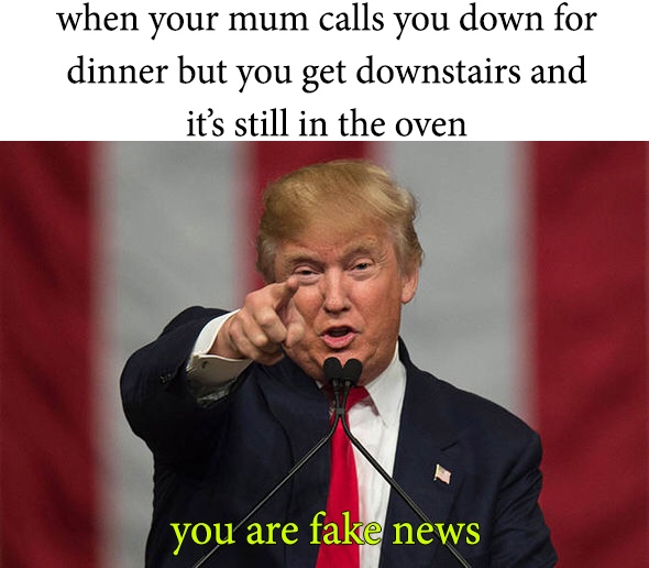 memes - fake news funny - when your mum calls you down for dinner but you get downstairs and it's still in the oven you are fake news