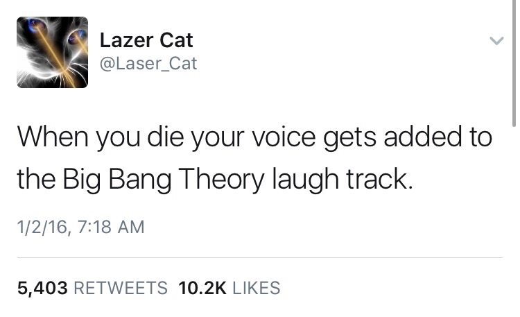 memes - document - Lazer Cat When you die your voice gets added to the Big Bang Theory laugh track. 1216, 5,403
