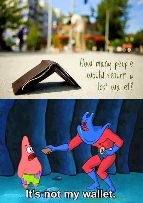 memes - its not my wallet spongebob - How many people would return a lost wallet? It's not my wallet.