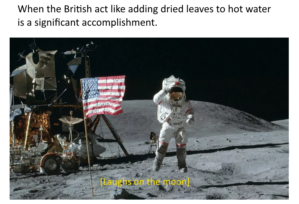 landing of the moon - When the British act adding dried leaves to hot water is a significant accomplishment. Laughs on the moon