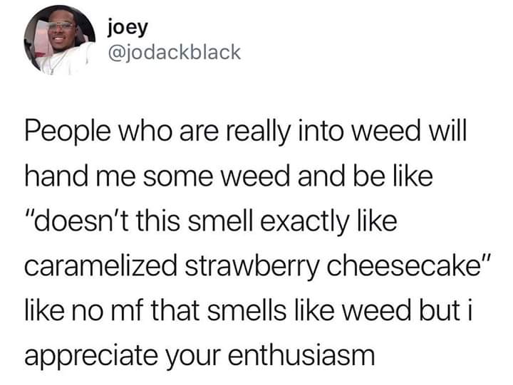 memes - kids assholes - joey People who are really into weed will hand me some weed and be "doesn't this smell exactly caramelized strawberry cheesecake" no mf that smells weed but i appreciate your enthusiasm