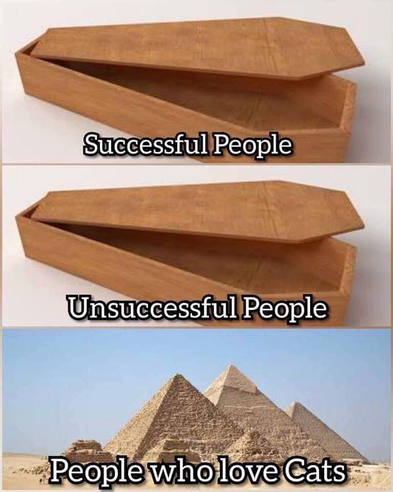 memes - giza necropolis - Successful People Unsuccessful People People who love Cats