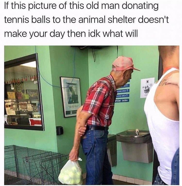memes - old man donating tennis balls - If this picture of this old man donating tennis balls to the animal shelter doesn't make your day then idk what will Carla Mion Cais Com