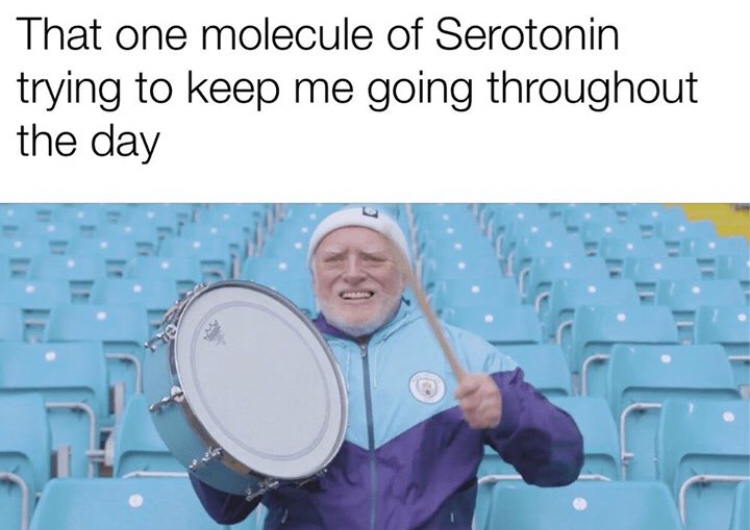 serotonin meme - That one molecule of Serotonin trying to keep me going throughout the day