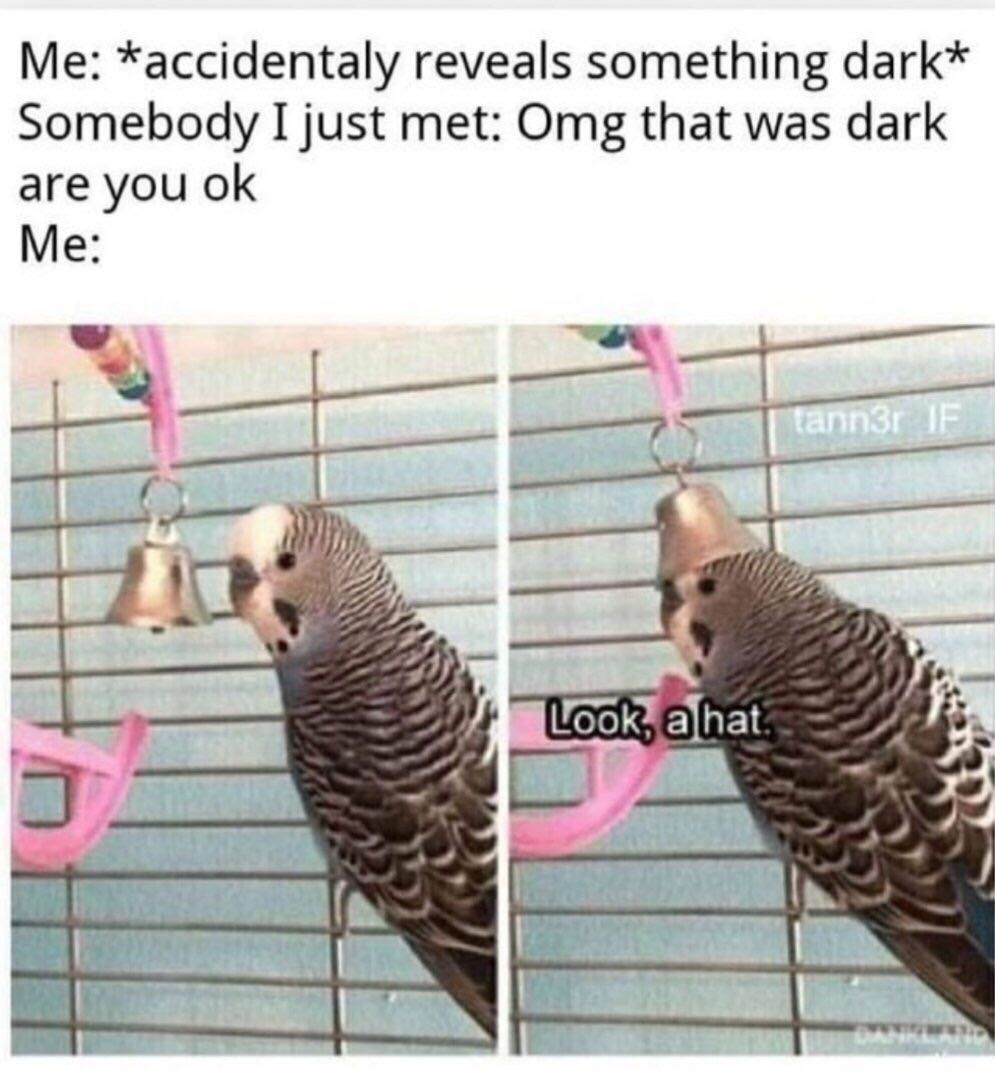 look a hat bird meme - Me accidentaly reveals something dark Somebody I just met Omg that was dark are you ok Me tann3r If Look, a hat.